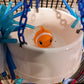 Floundering Fishbowl Toy Box